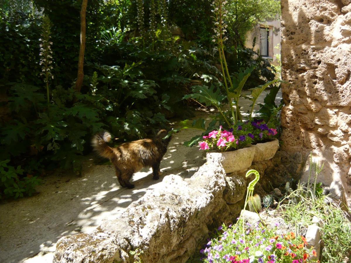 Bed and Breakfast Le Pra de Pé à Cotignac Extérieur photo